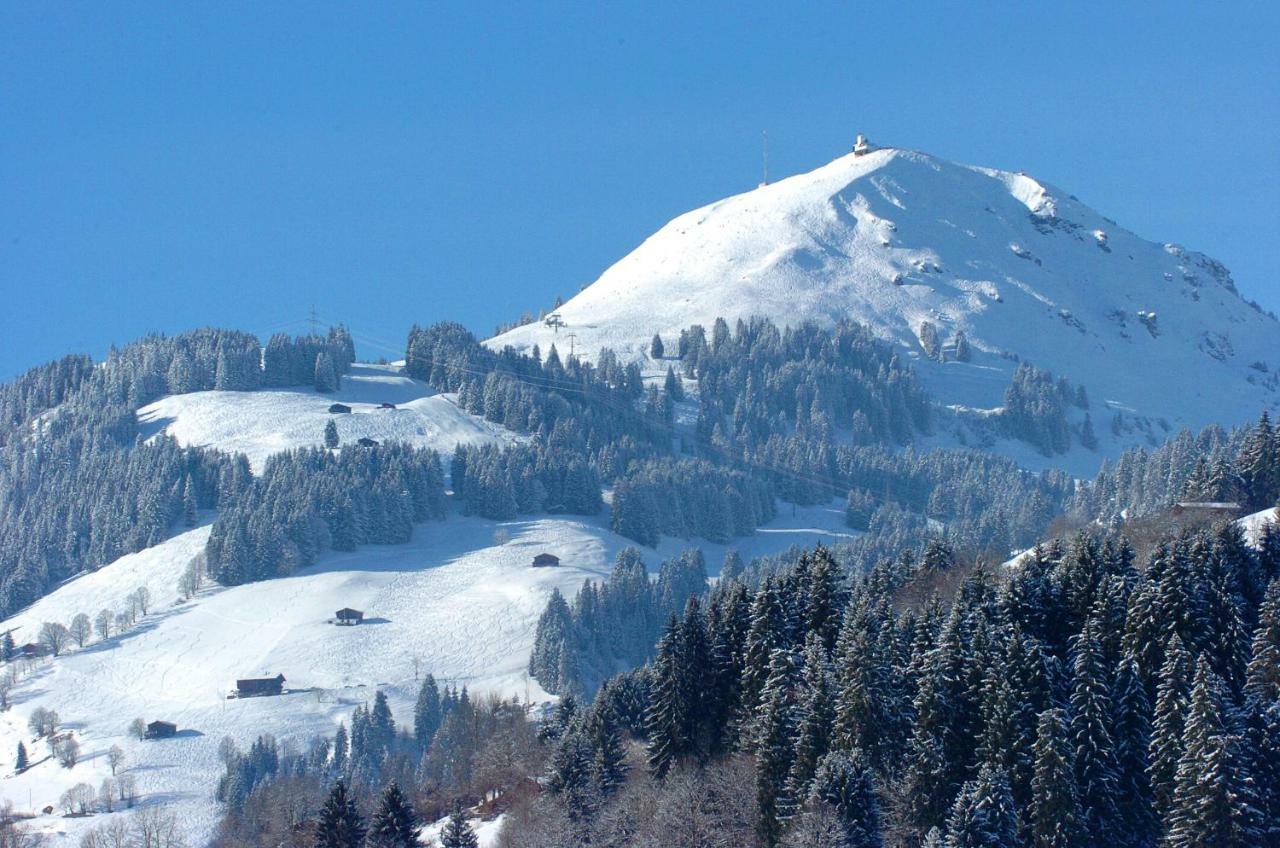 Bergpension Zinting بريكسن ام تاله المظهر الخارجي الصورة